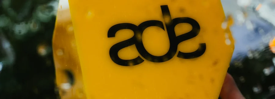 Amsterdam Dance Event 2025 - My Daily Favorite