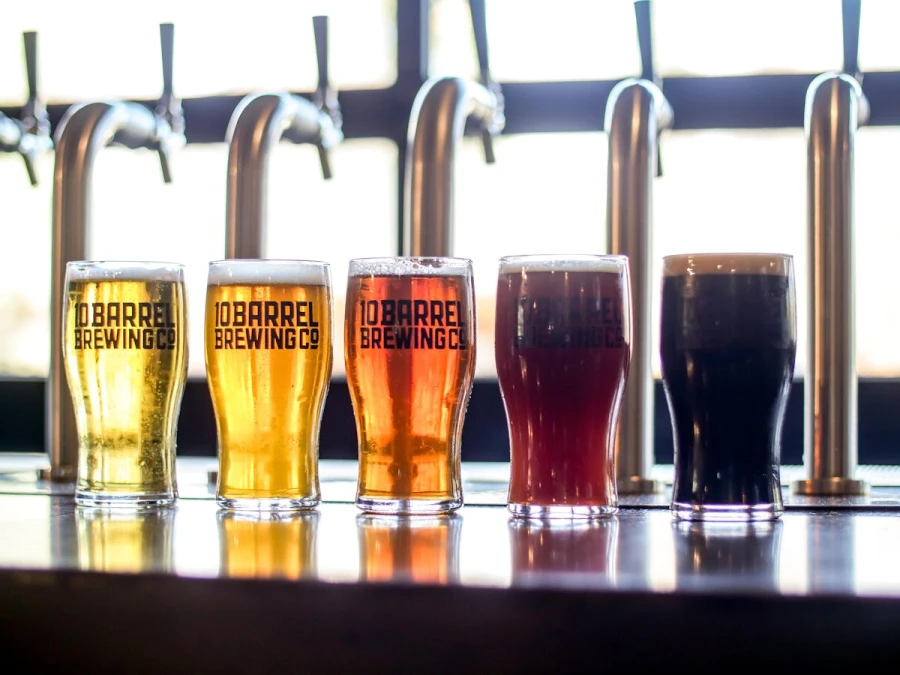 Bierfestival in Den Bosch - My Daily Favorite