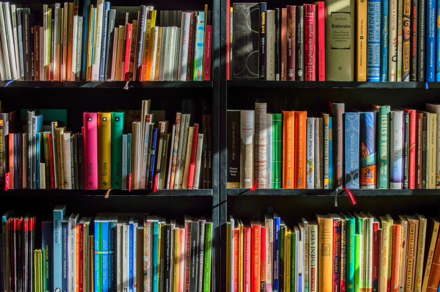 Boekenkast in de woonkamer. Do or don’t - My Daily Favorite