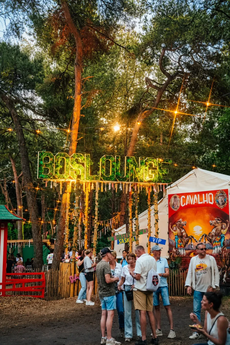 Dauwpop is een festival met kakakter | My Daily Favorite
