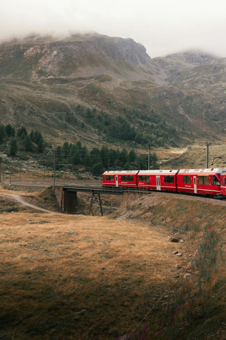 De Bernina Express - My Daily Favorite