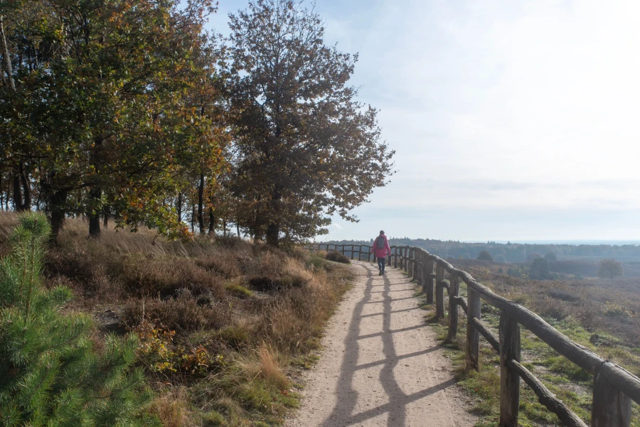 De Veluwe als mooiste vakantiebestemming | My Daily Favorite
