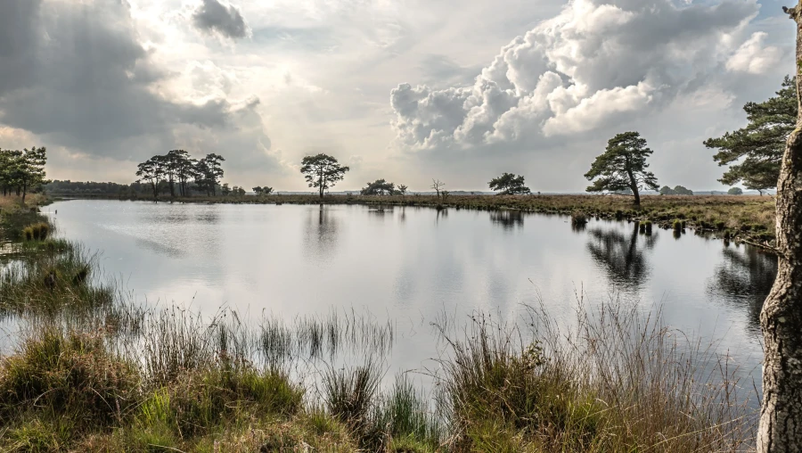 De Veluwe als mooiste vakantiebestemming | My Daily Favorite