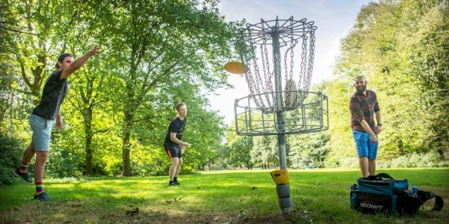 My Daily Favorite - Disc Golf