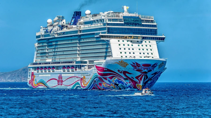 Een cruise maken - My Daily Favorite