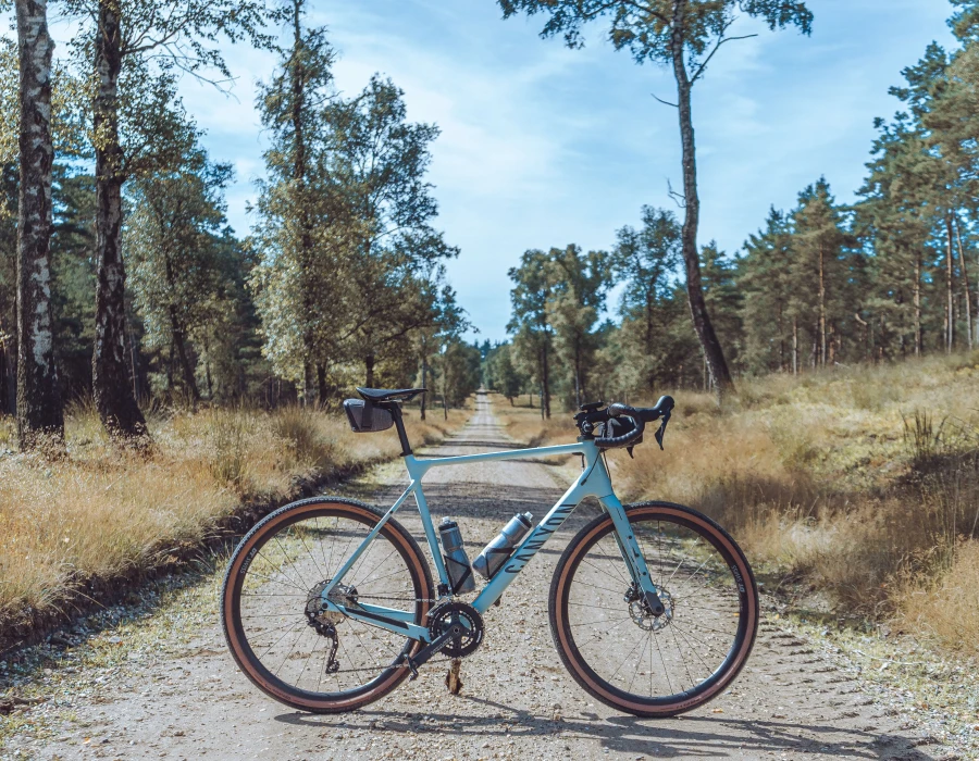 Fietsen op de Veluwe | My Daily Favorite