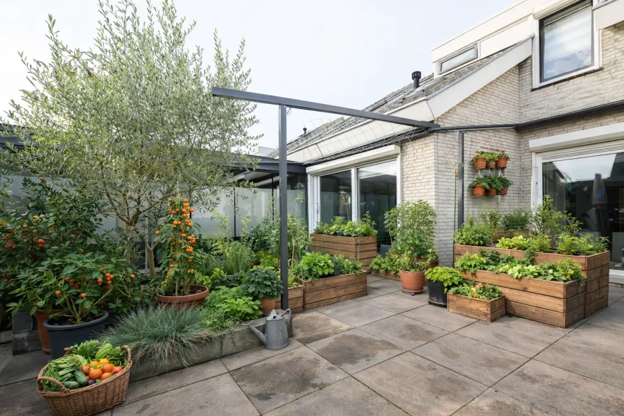 Groentetuin met verse oogst en kruiden | My Daily Favorite