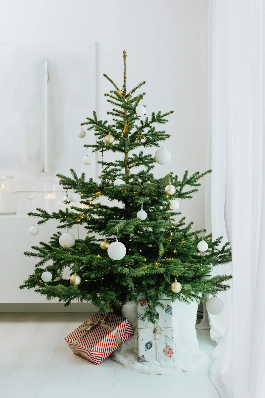 Kerstbomen trends | My Daily Favorite