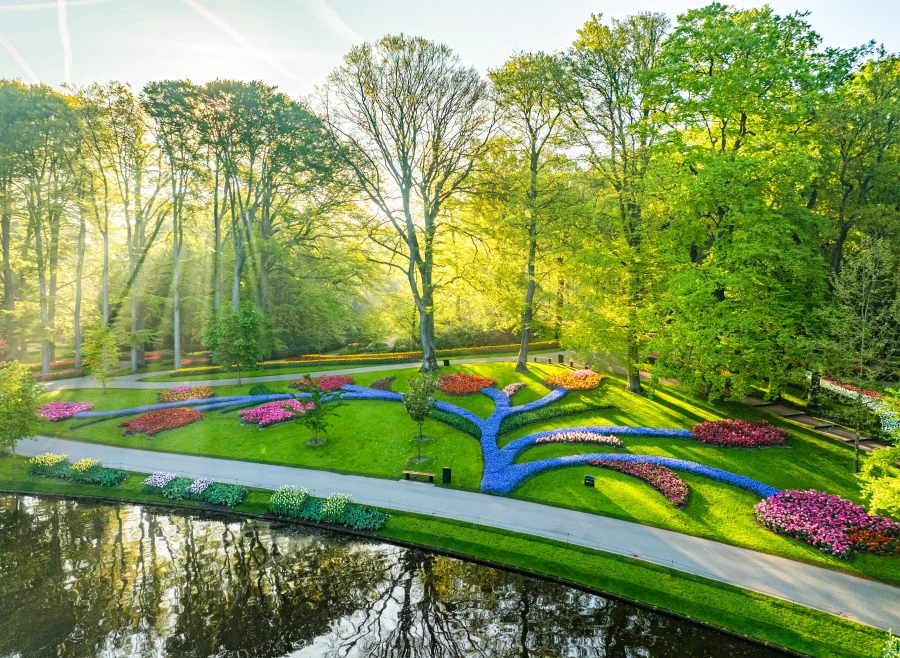 Keukenhof in Lisse is weer open | My Daily Favorite