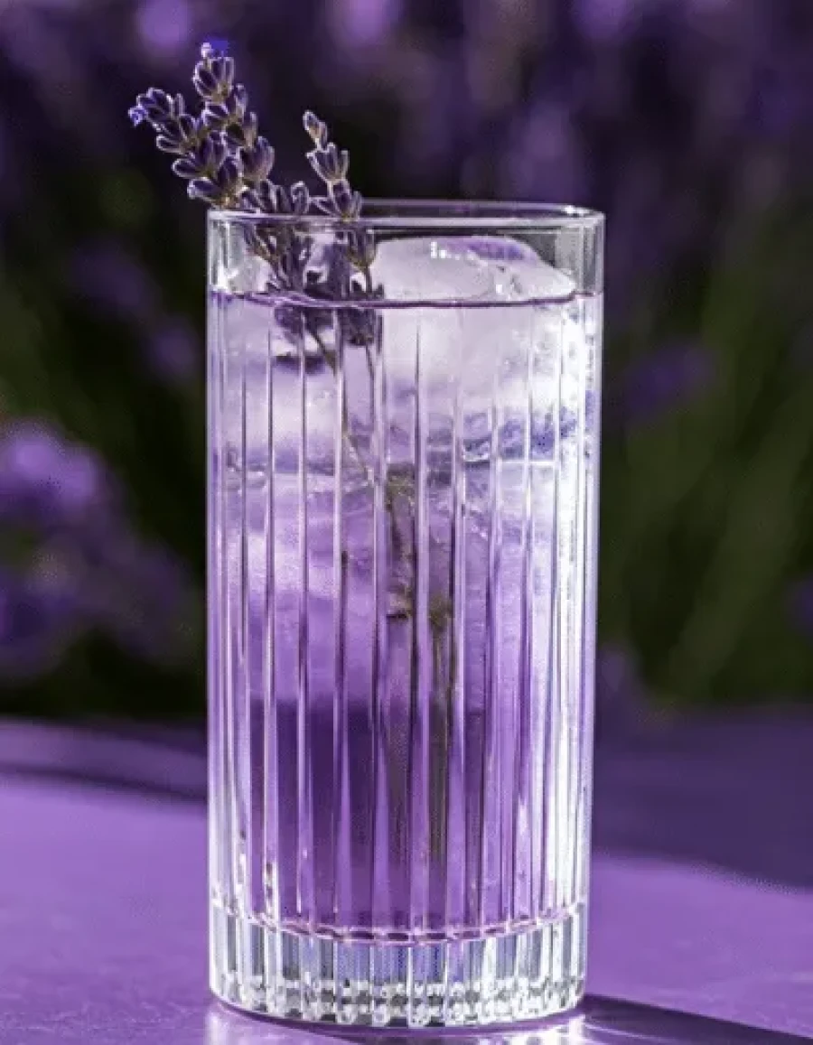 Lente Lavender Gin Fizz - My Daily Favorite