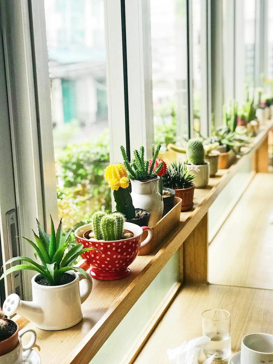 Plantenverzorging- slimme oplossingen - My Daily Favorite