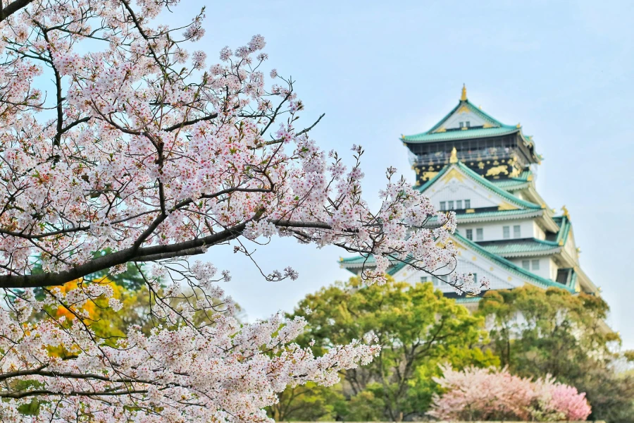 Reizen door Japan - My Daily Favorite