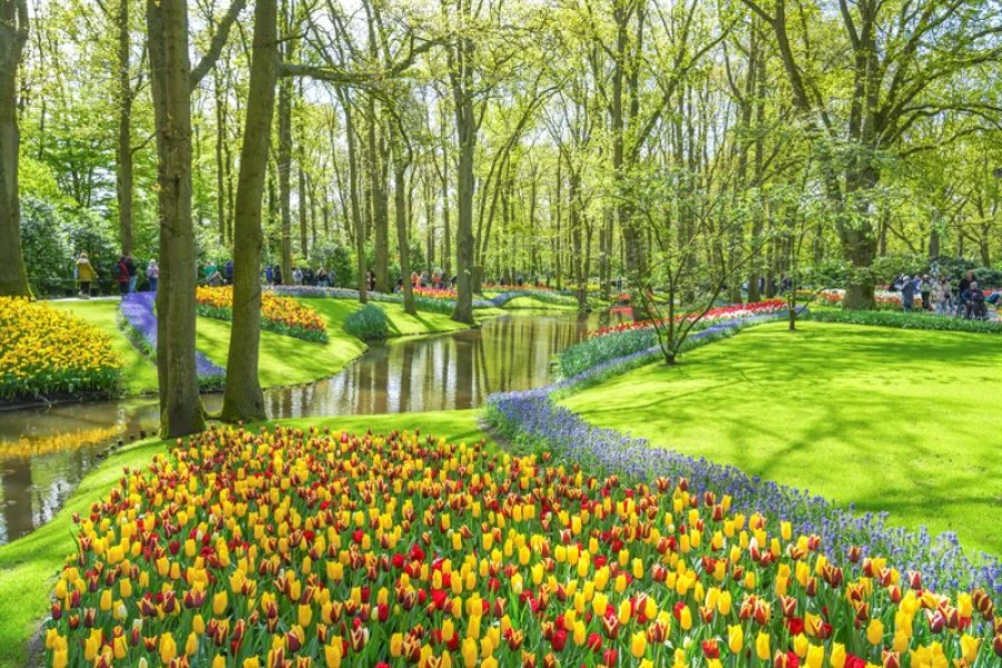 Keukenhof in Lisse is weer open | My Daily Favorite