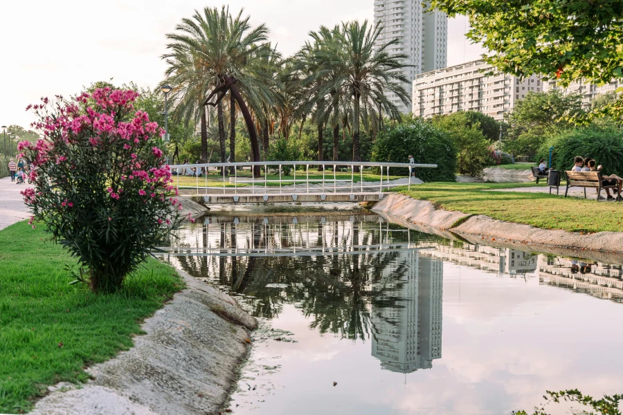 Valencia is My Daily Favorite