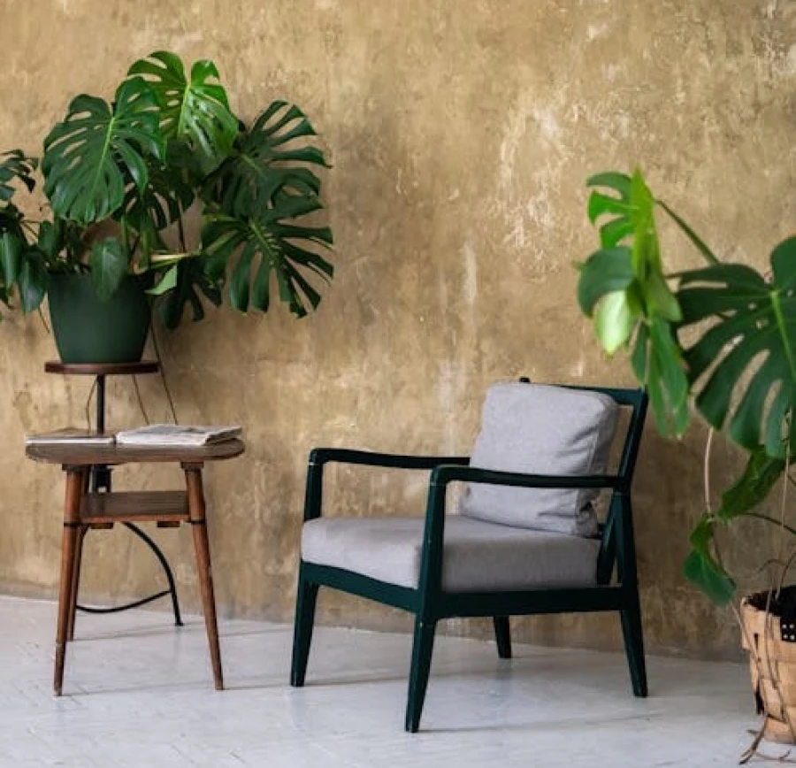 Planten in huis - De interieurtrend van 2025 - My Daily Favorite