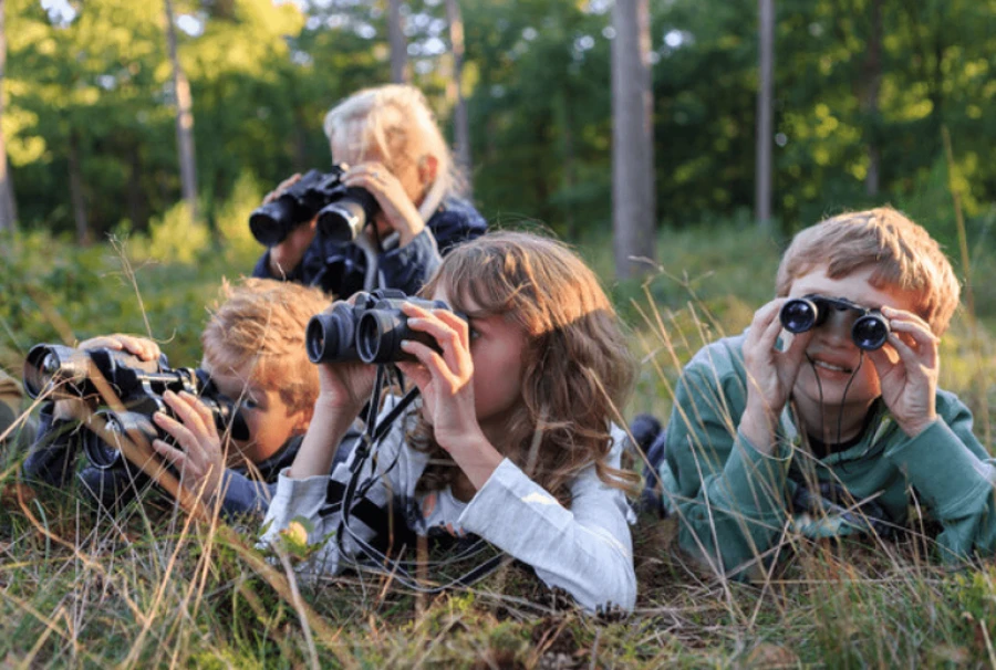 Ga wild tijdens de Wilde Weken op De Hoge Veluwe