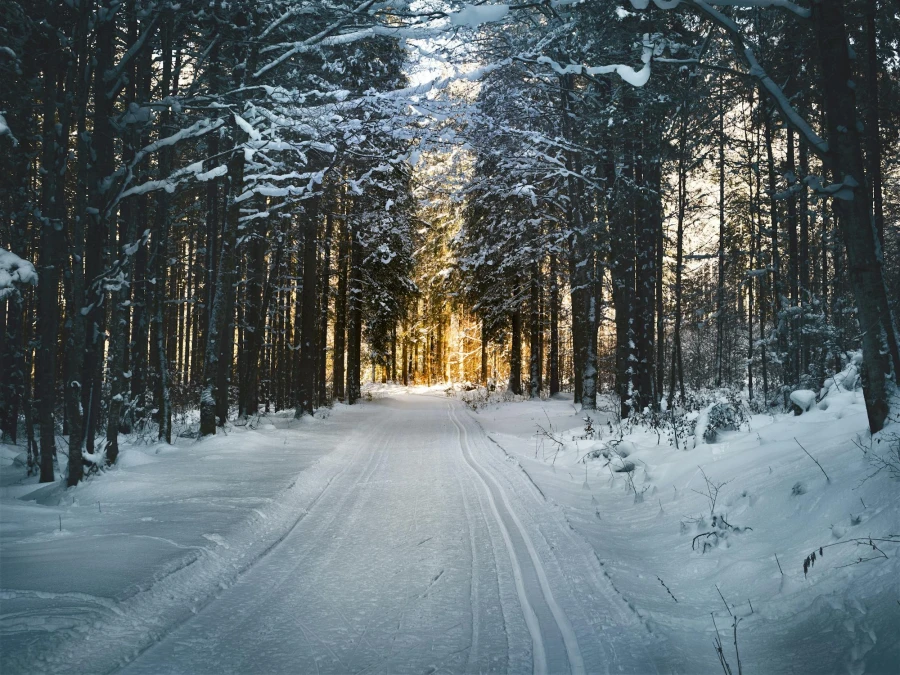 Winter in Nederland - My Daily Favorite.jpeg