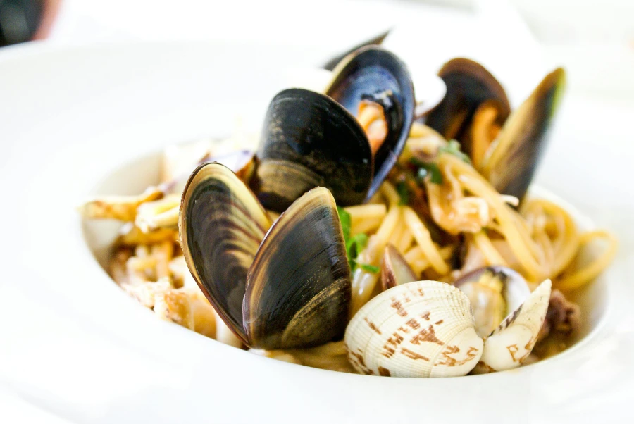 Zelf Mossels koken – Een vleugje Zeeland thuis - My Daily Favorite